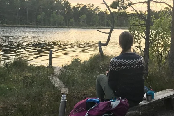 Midnattssol Vandring & Lägereld Vildmiddag i - Tyresta nationalpark