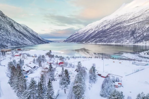 Från Kiruna: Dagstur till Narvik City och Fjord