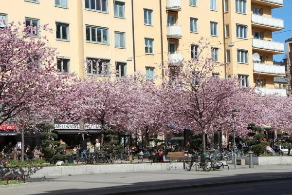 Stockholm Private Tour with a Local: Hip & Bohemian Södermalm 3h