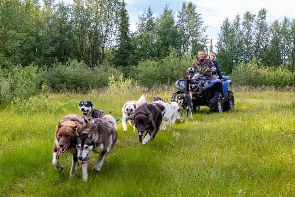 Träffa 70 Huskies och njut av en kort ATV Tour med Huskies