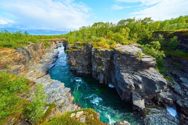 Upptäck Abisko Natioalpark: En privat guidad naturtur