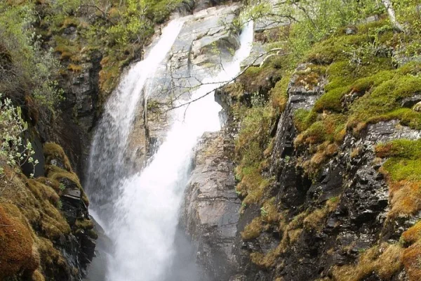 Tur till Abisko nationalpark