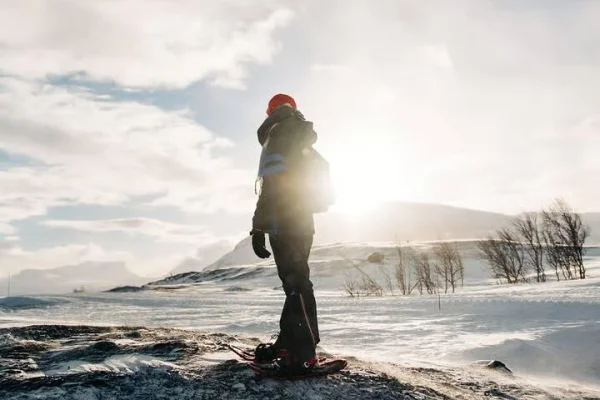 Kiruna: Guidad snöskovandring dagtid