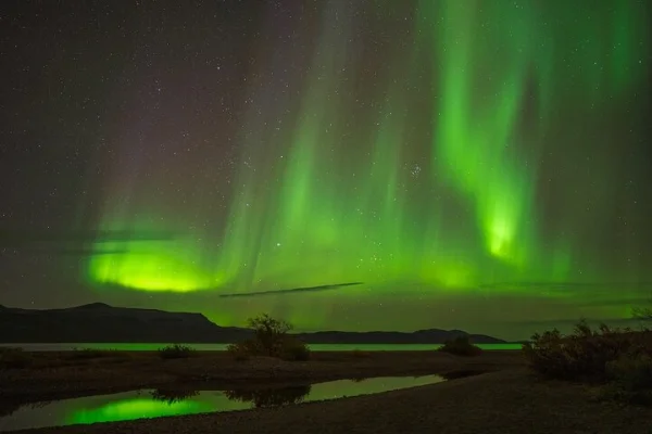 En-natt Aurora fotoäventyr, Borealis Lights Lappland