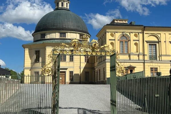 Privat guidad tur Drottningholms slott med VIP-bil