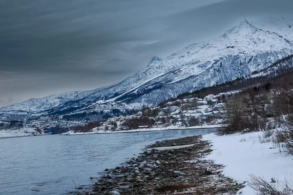 Från Abisko till Narvik: Arktisk naturskön tur med fjordlandskap