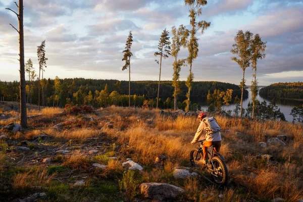 Stockholm Fat Bike Forest Adventure med Lunch och Bastu