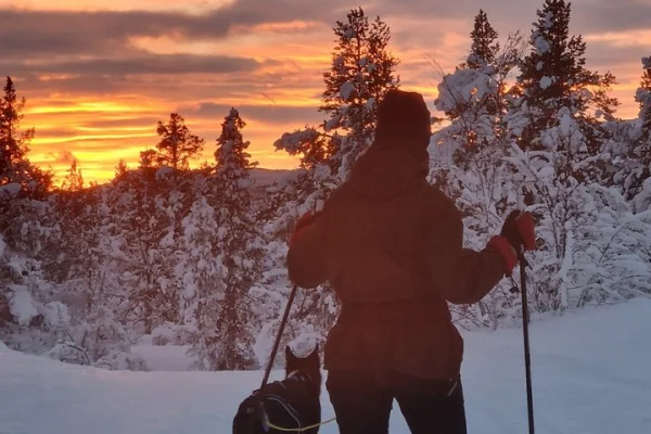Kiruna Liten Grupp Snöskotur med Fika