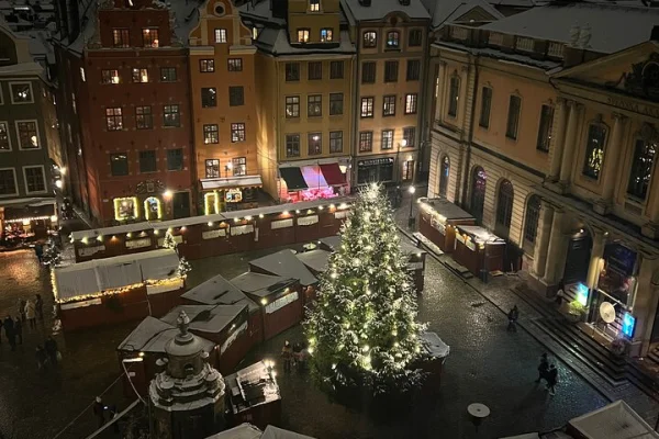 Gamla Stan Jultur och marknadsbesök