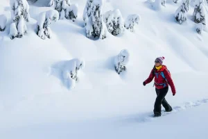 Abisko Dagtid Fotovandring Snösko äventyrstur
