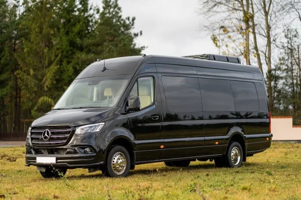 Ankomst Privat Transfer: Bromma Airport BMA till Stockholm City av Minibus