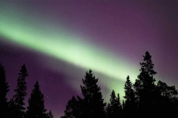 Luleå: Norrskensutflykt med bil