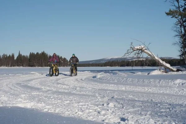 Fatbike Experience i Sorsele