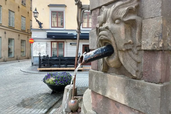 Privata tysk-svenska förbindelser