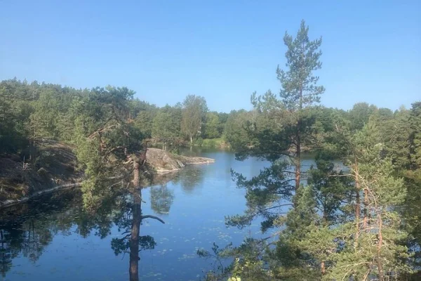 Svensk vandring och guidad vedeldad bastu