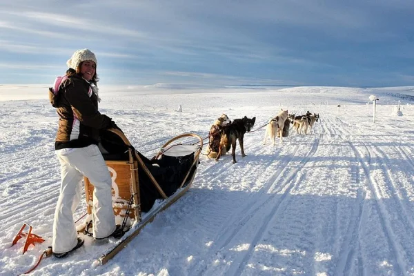Övernattningstur med hundspann i Sälen