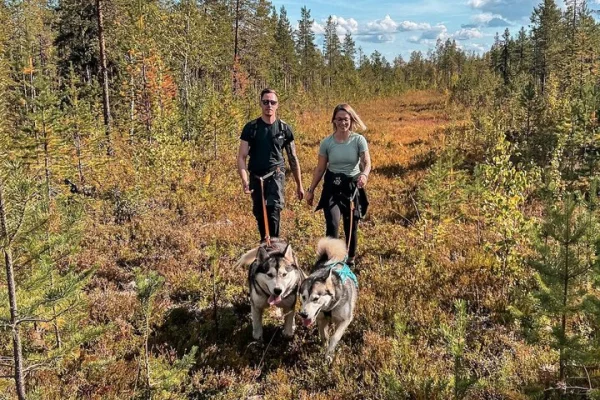 Nordisk vildvandring: Vandring med slädhundar i Lappland