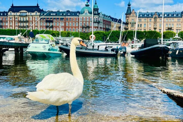 Privat Stockholm Lyxbil Äventyr Stadstur med Guide