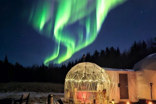 Sova i en glas Igloo under norrsken