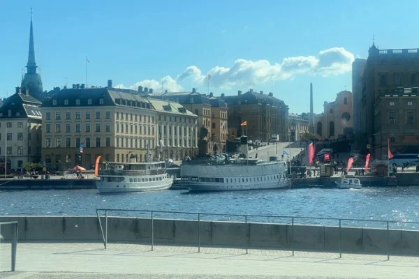 Premium City Tour Stockholm Privat Guide med lyxbil