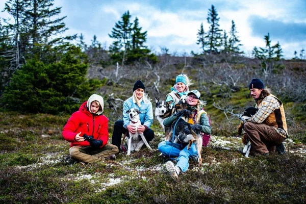 Bergsvandring med husky följeslagare