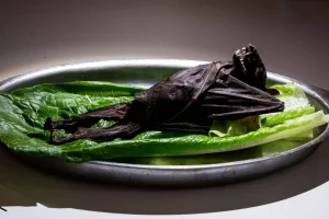 Malmö: Inträdesbiljett till Disgusting Food Museum