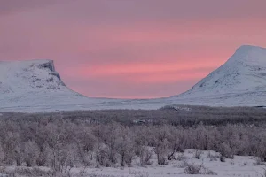 Abisko nationalpark: Naturskön morgonvandring med transfer