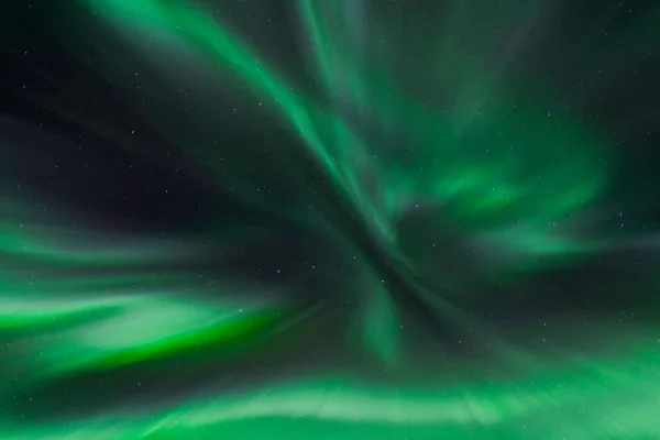 Abisko: Guidad Aurora Chase med transfer till hotell
