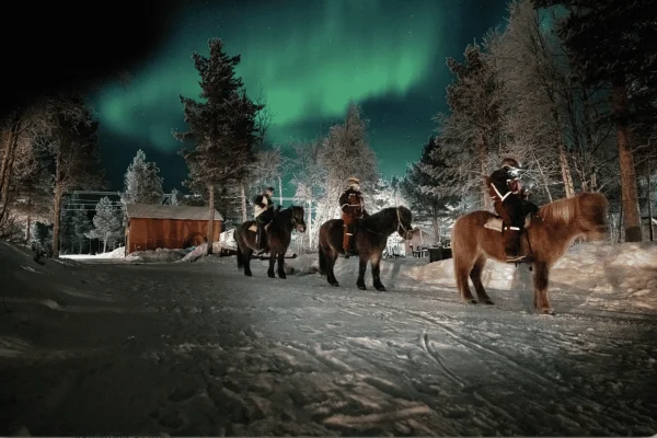 Kiruna: Ridtur i norrskenet med middag