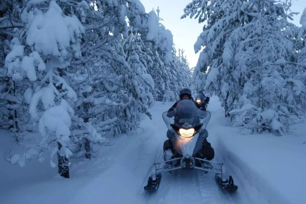 Luleå på snöskoter: Skog & Is Snöskoterturer (2 eller 4 timmar)