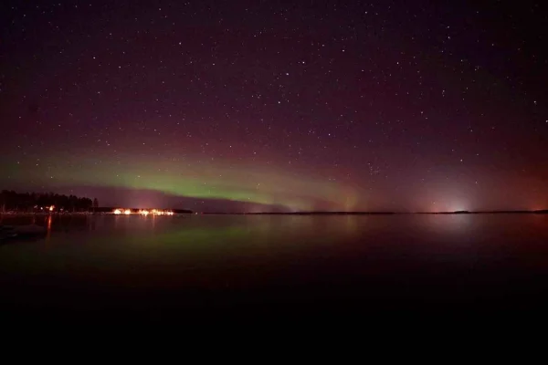 Luleå: Norrskensjakt med bil och transfer