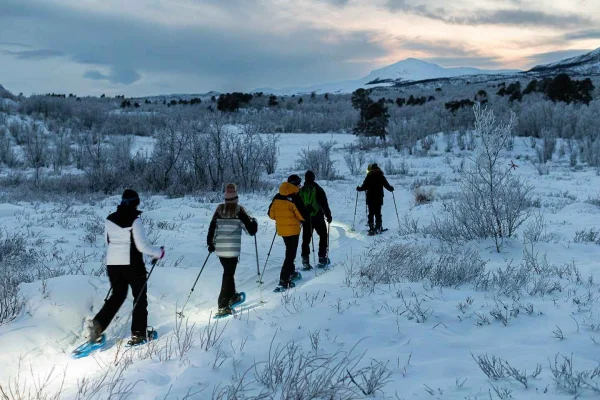 Abisko: Snöskovandring i vildmark