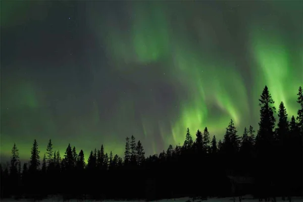 Luleå: Norrskenstur med bil och svenska godsaker