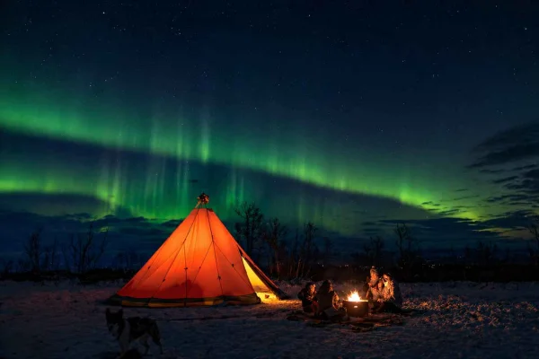 Abisko: Norrskensvandring med huskys