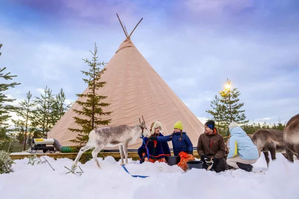 Luleå: Möt och mata renarna – kort upplevelse