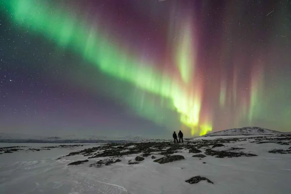 Abisko: Aurora Car Chasing Tour med fotograf
