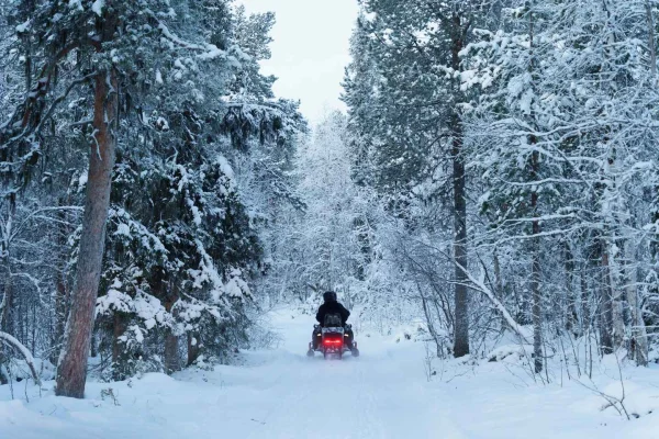 Kiruna: Snöskoter i liten grupp med snacks