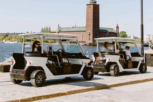 Stockholm: Privat tur i golfbil – 60 och 120 minuter