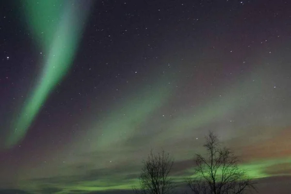 Luleå: Snöskoteräventyr & norrskensjakt