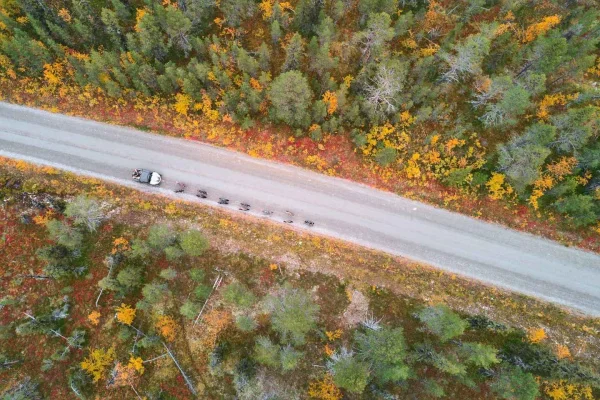 Kiruna: Hösttur med slädhundsträning