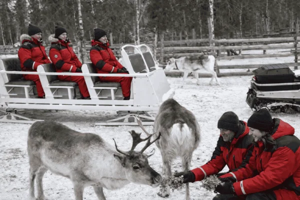 Kiruna: Släde med renmatning och varma drycker
