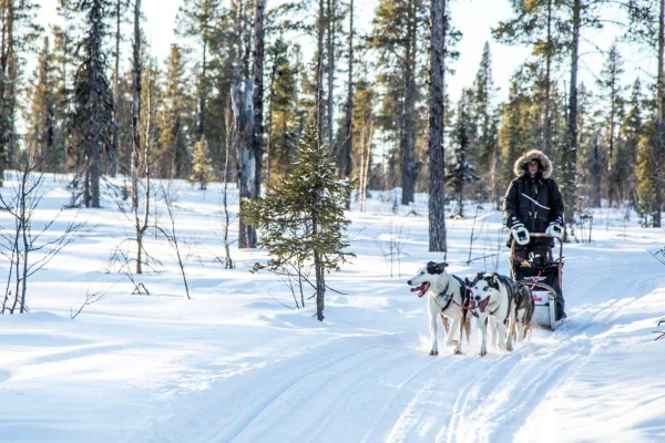 Kiruna: Kör din egen teamlunch-tur