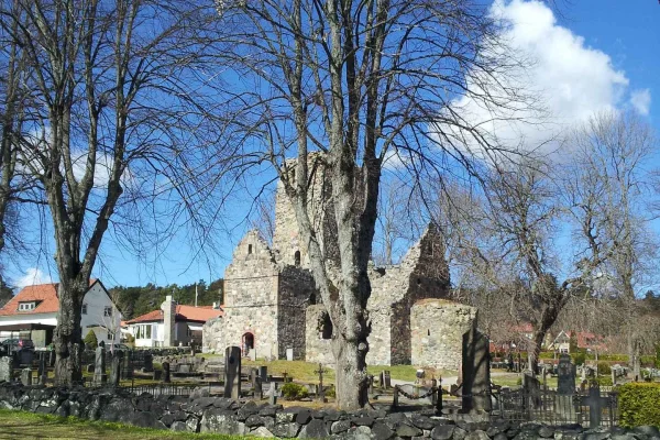 Uppsala stad och Sigtuna stad – 8 timmars dagstur från Stockholm