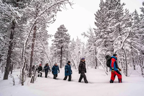 Snöskor i en vinterskog