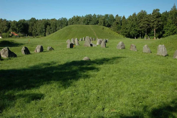 Från Stockholm: Enköping, hällristningar och vikingar – 8 timmars dagstur