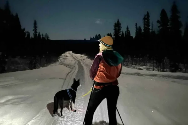 Kiruna: Privat snöskovandring och bastuupplevelse