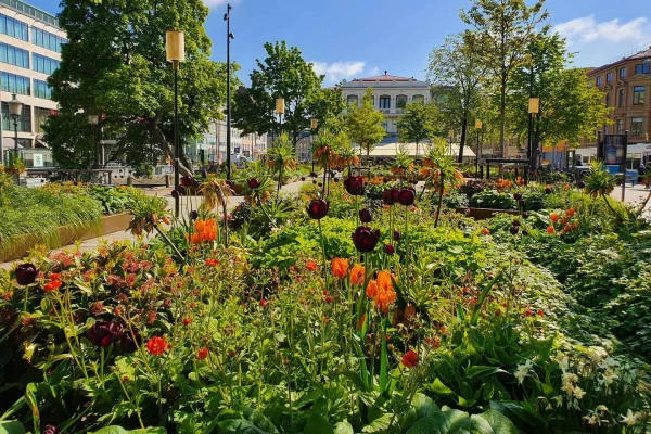 Guidad stadsrundvandring med en infödd göteborgsbo