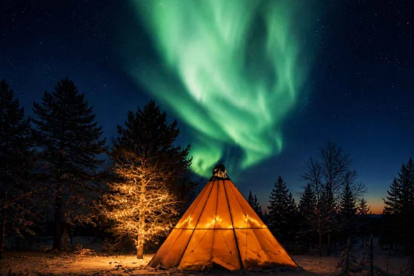 Kiruna: Besök på en huskygård med BBQ och norrsken