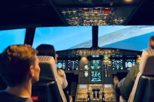Malmö: 30-minuters privat flygsimulatorupplevelse