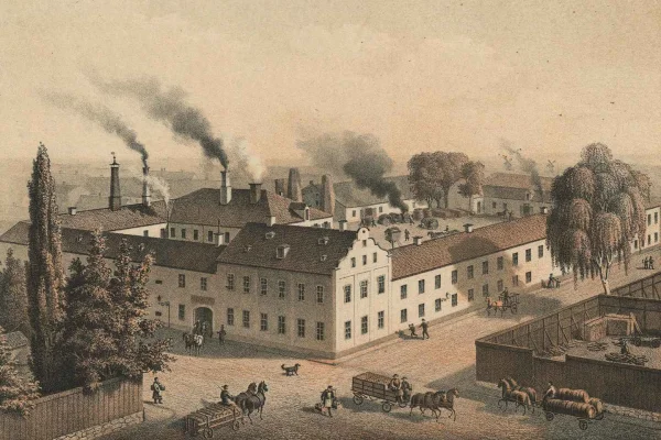 Södermalm: Ölrundvandring och provsmakning